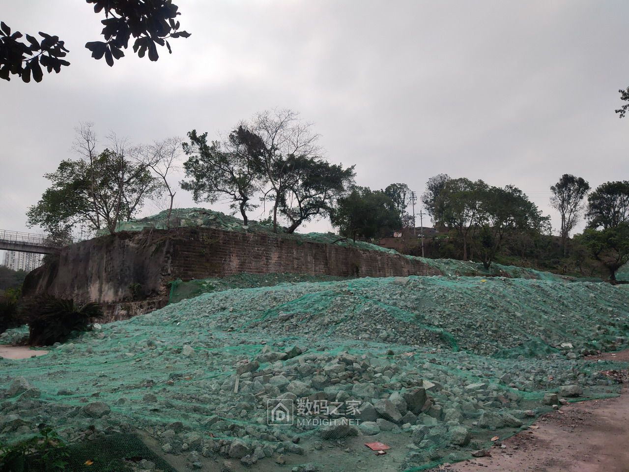 P30211-143129.jpg
