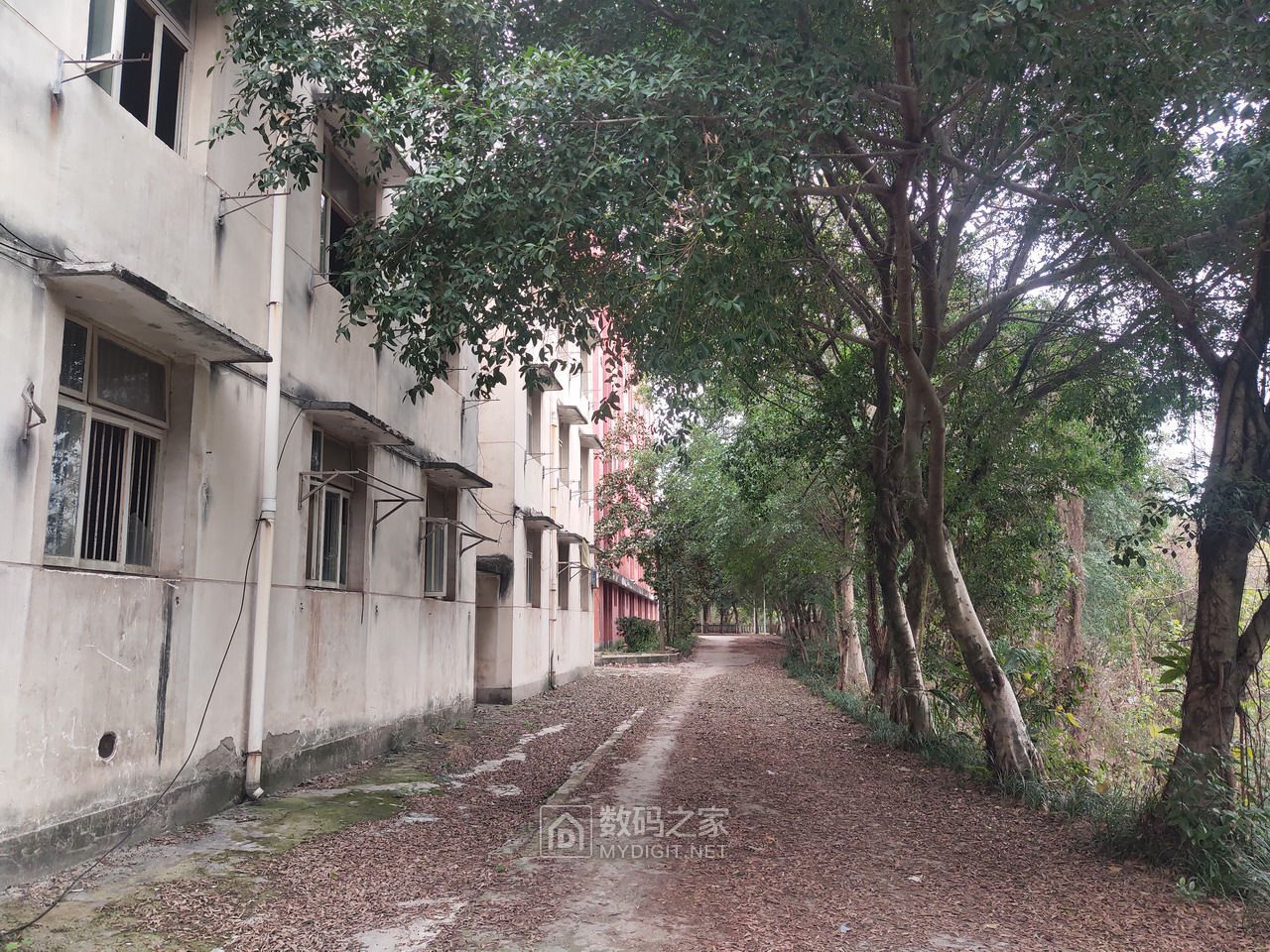 P30211-143444.jpg