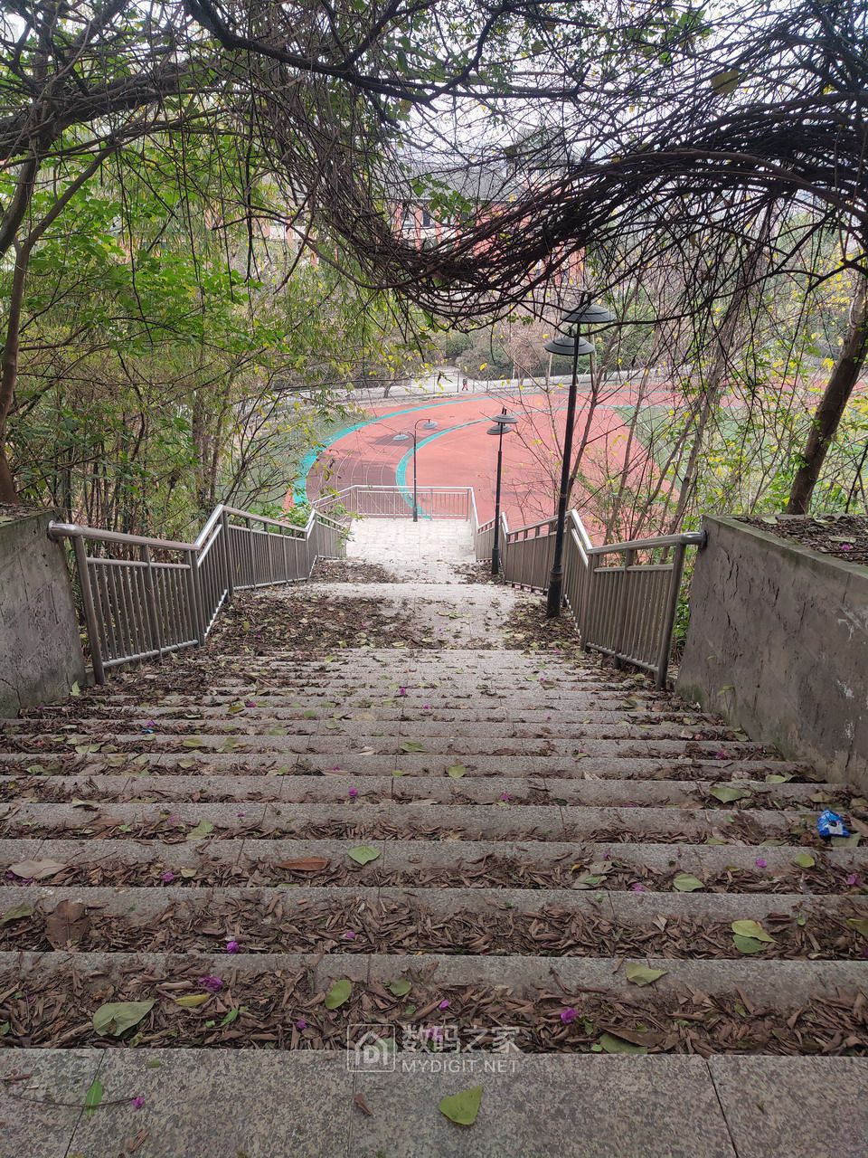 P30211-143646.jpg