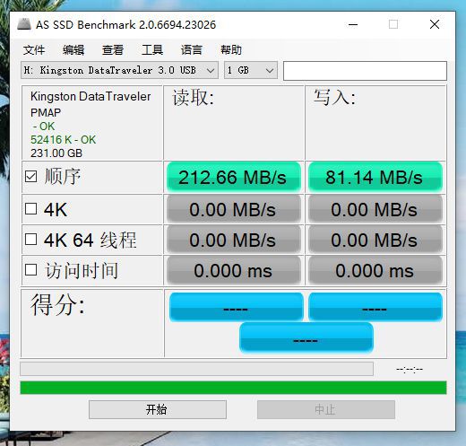 Kingston DTKN 256G.jpg