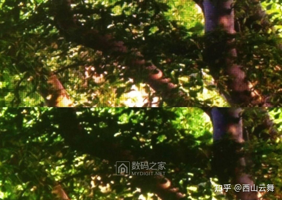 v2-1fffc9072622561e7d16c8aebe15acb4_1440w.jpg