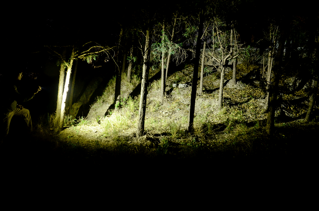 41cc7ca88bac4b46b39fe3488a118838.gif