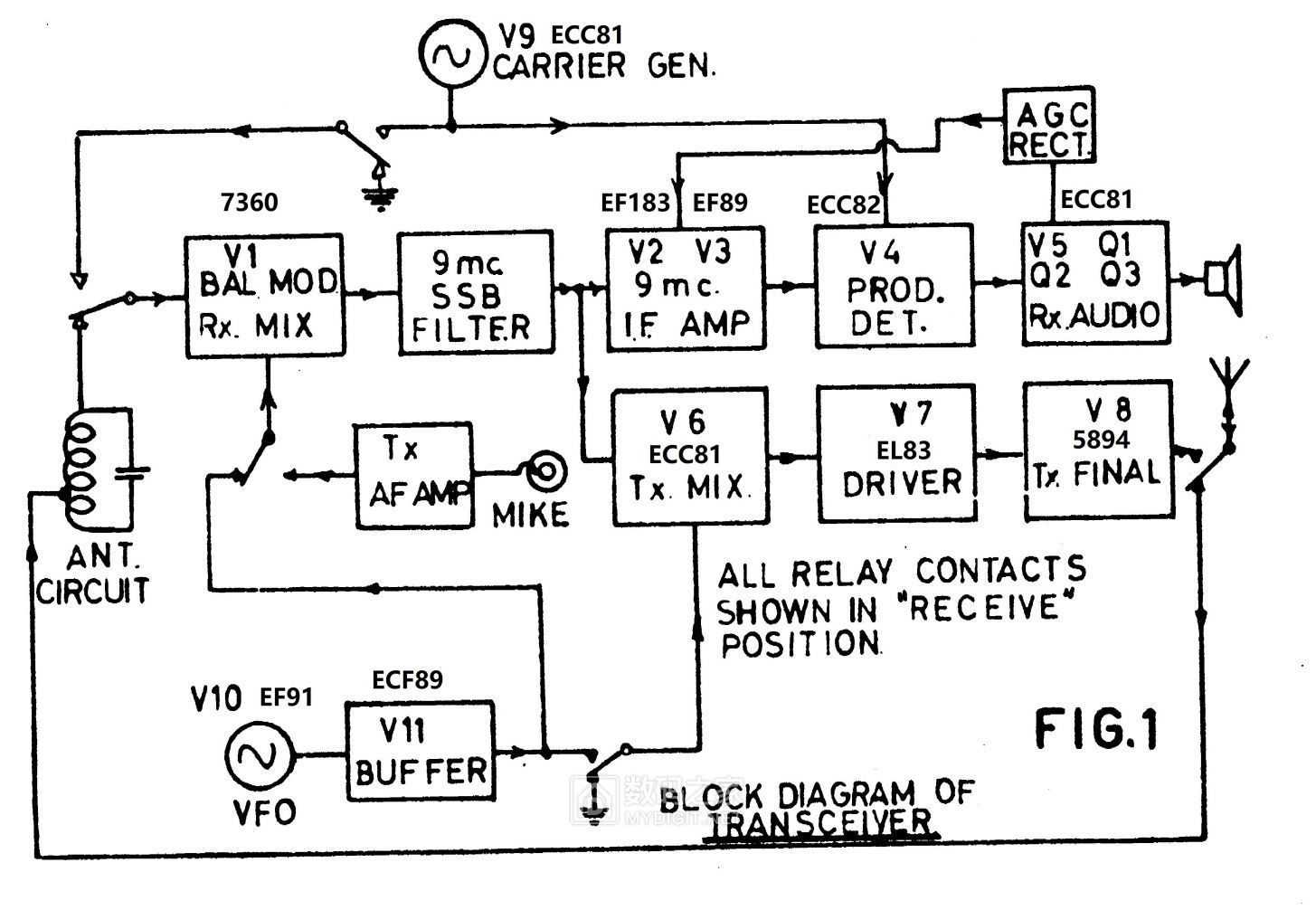 fig1.jpg