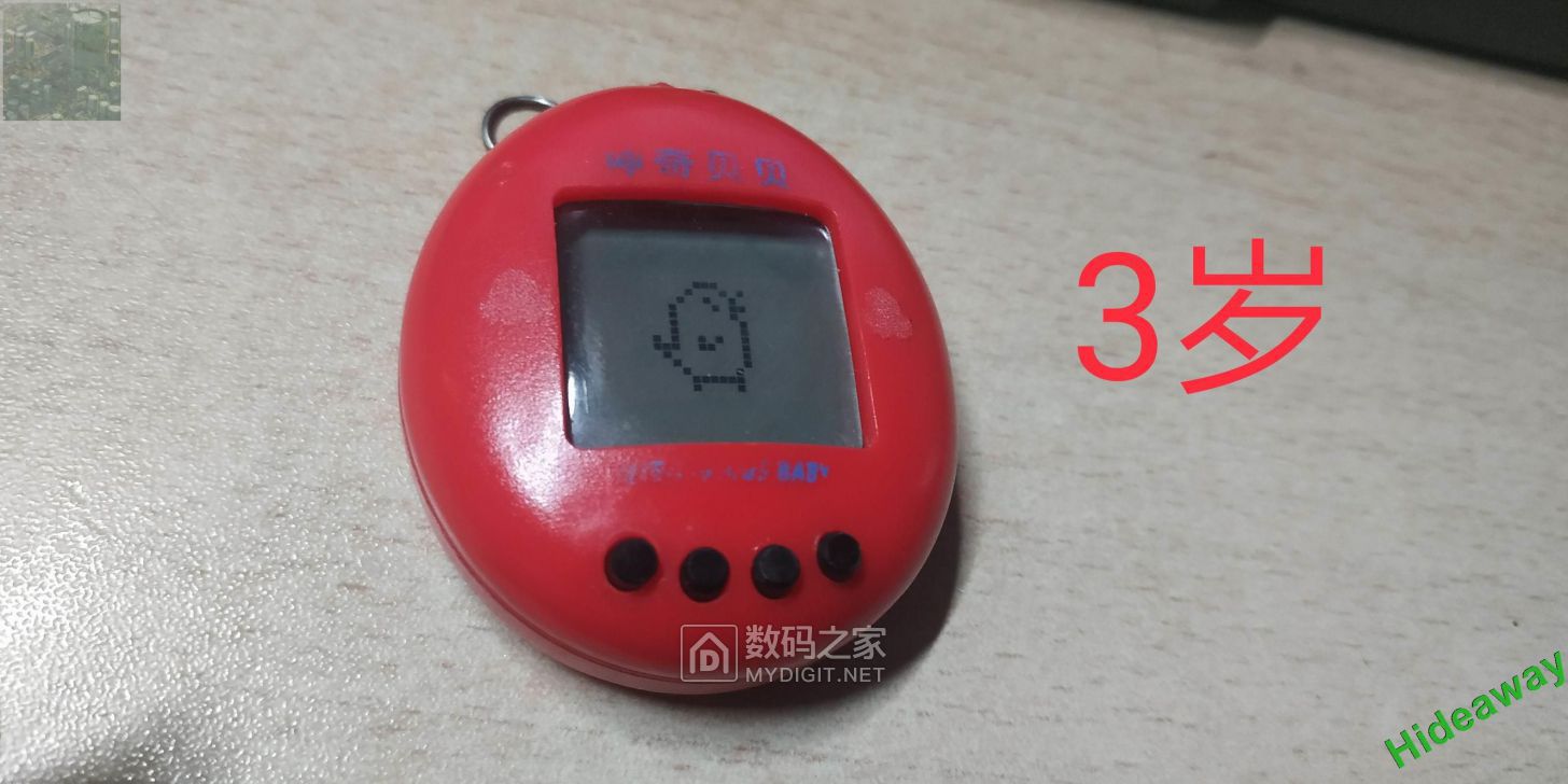 60.jpg