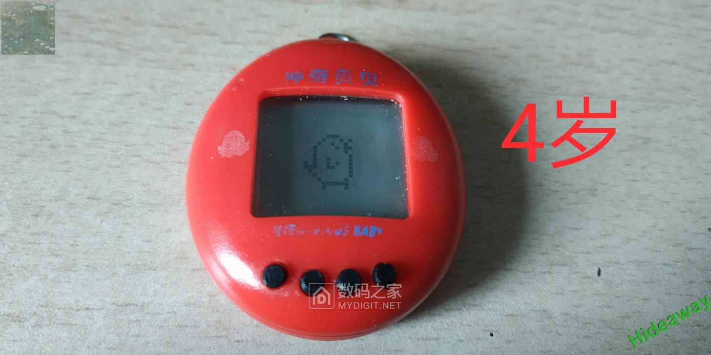 61.jpg