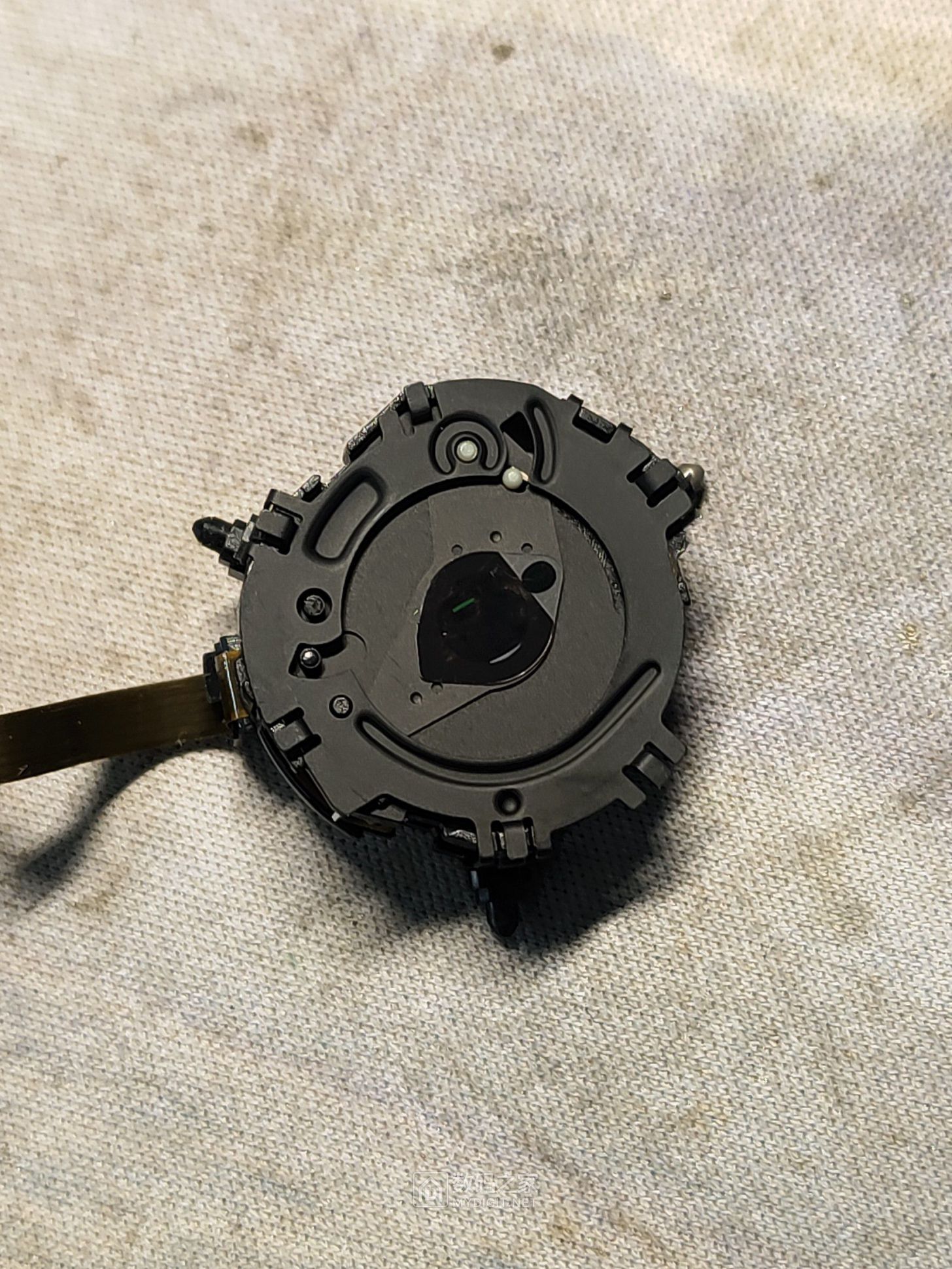 P20250110-133355.jpg