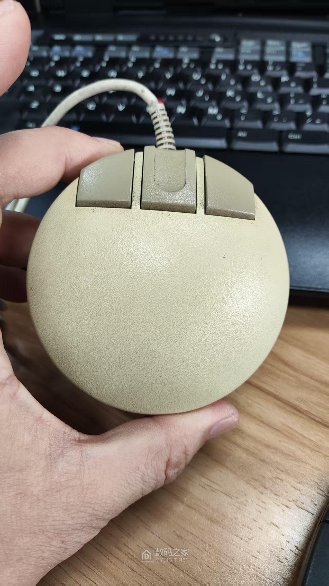 digital VSXXX-AA Mouse