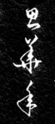 IMG_7174.jpeg