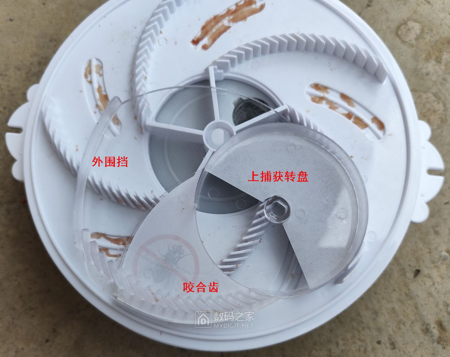 捕蝇器-03.jpg