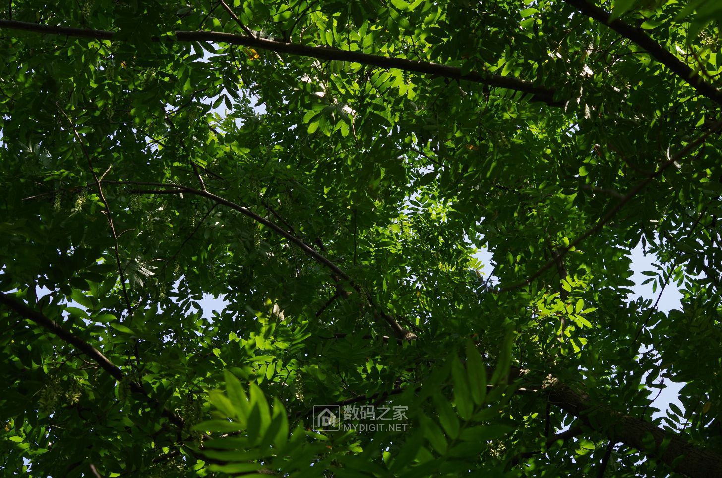 IMGP2258.JPG