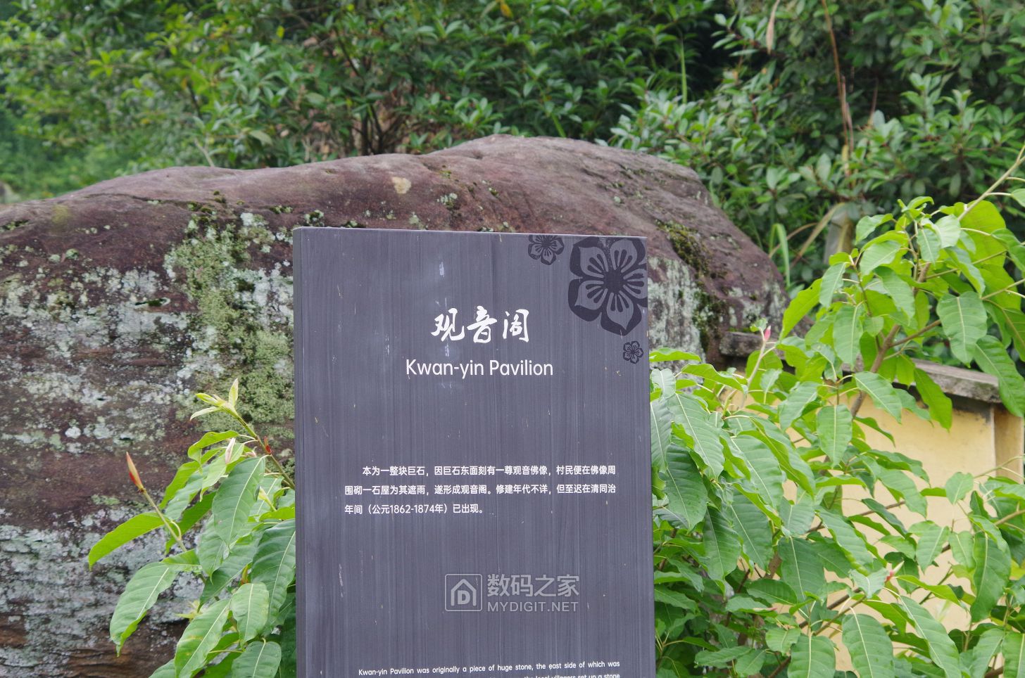 IMGP2388.JPG