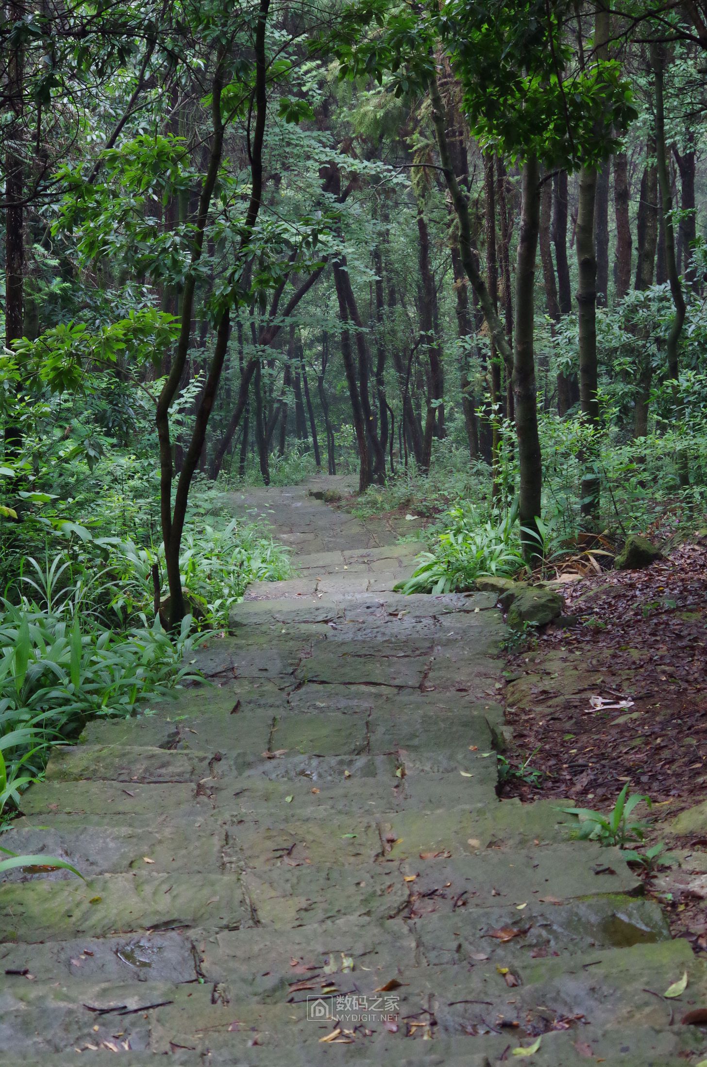 IMGP2400.JPG