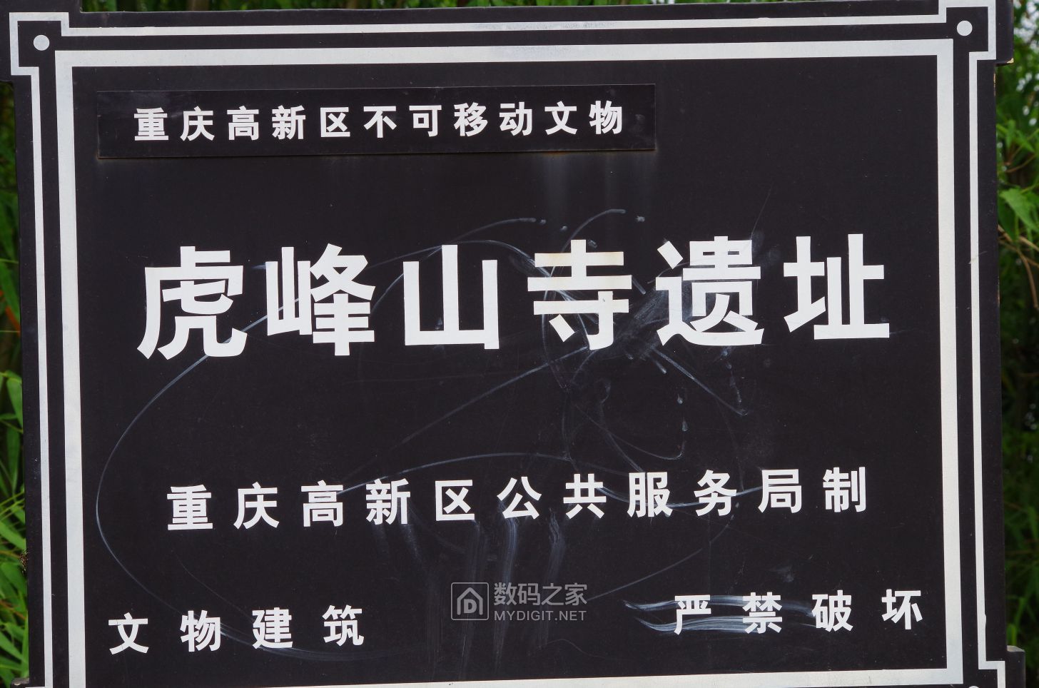 IMGP2470.JPG