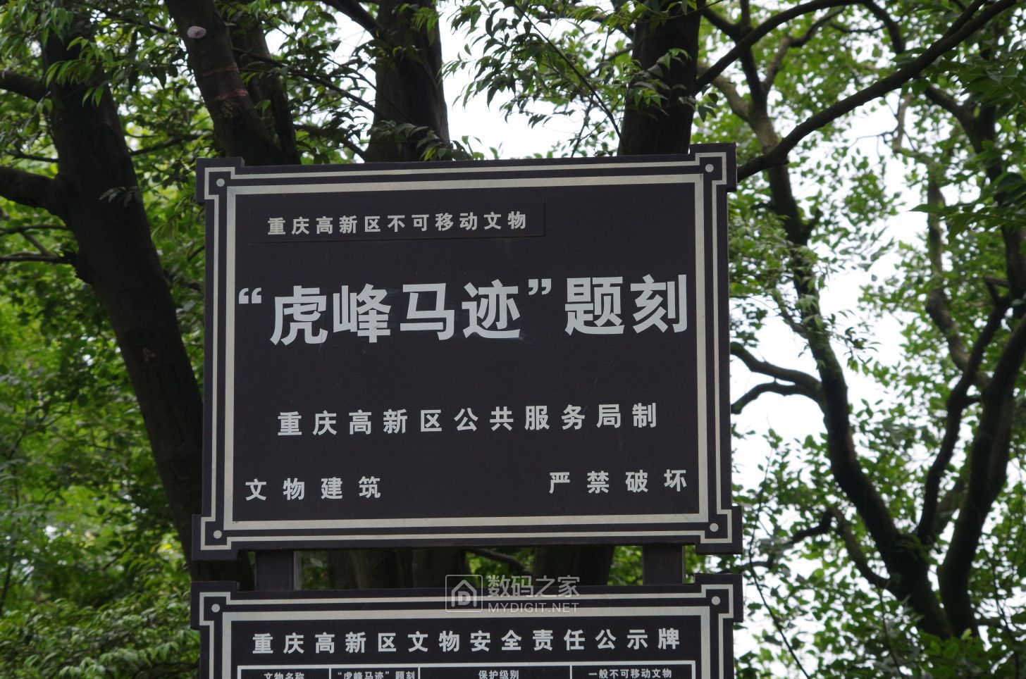 IMGP2471.JPG