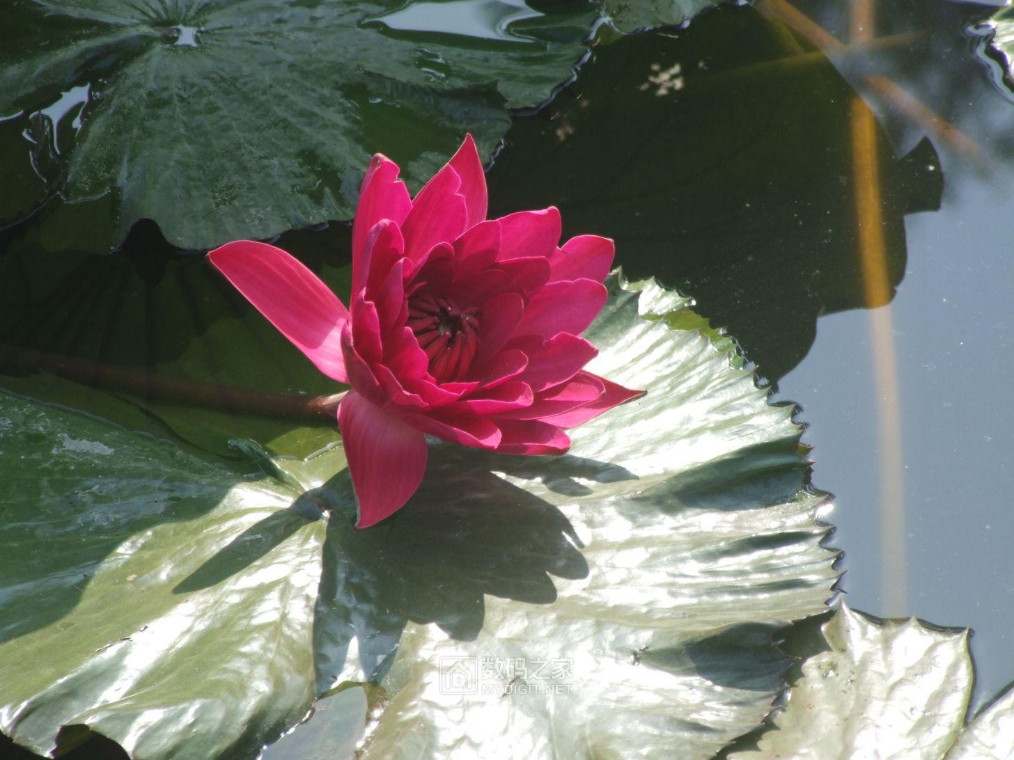 DSCF3249.JPG