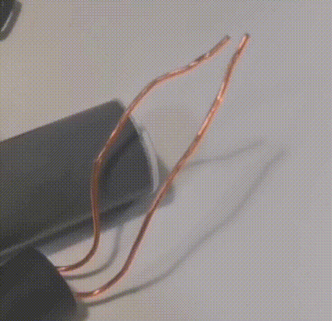 petal_20250903_200032.gif