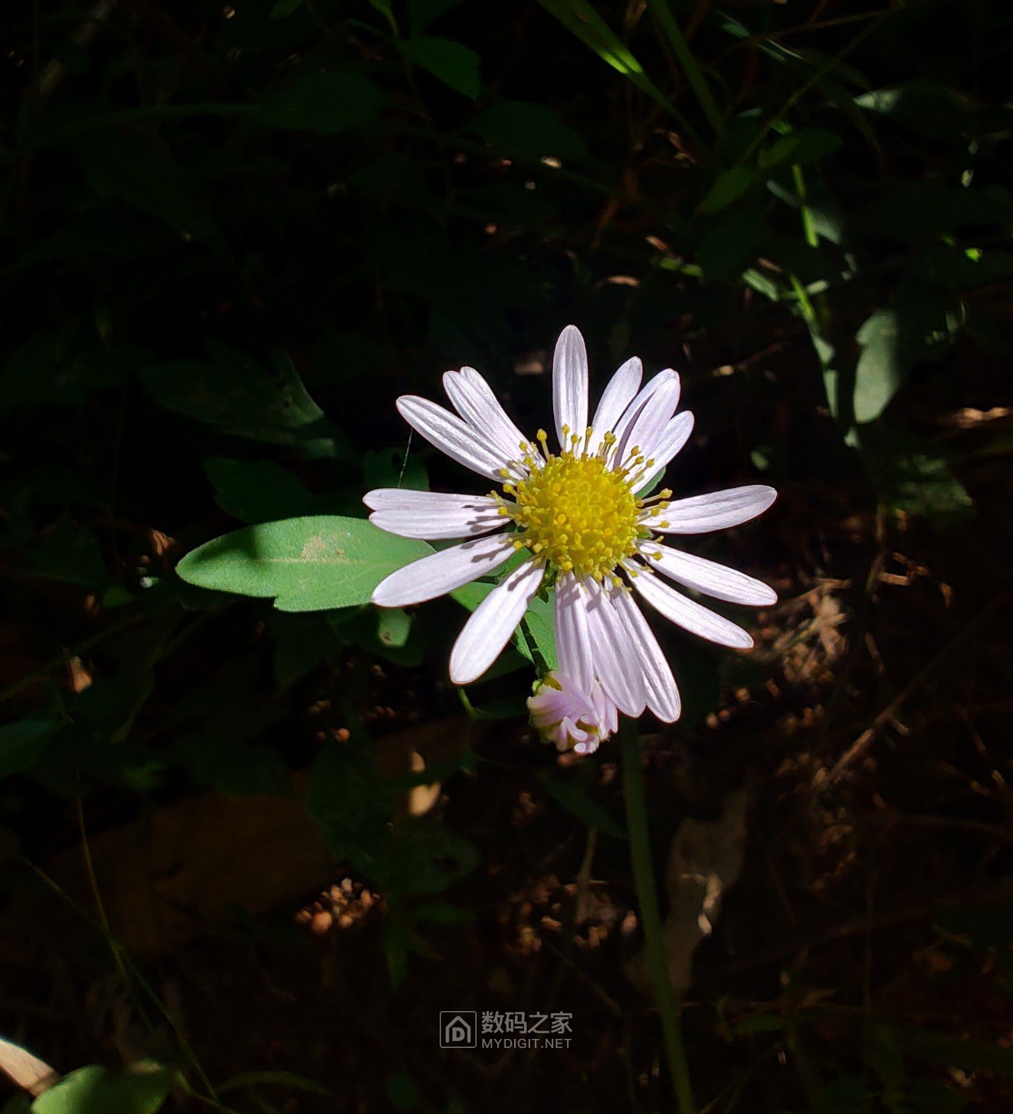 IMG_20250929_082014586_HDR.jpg