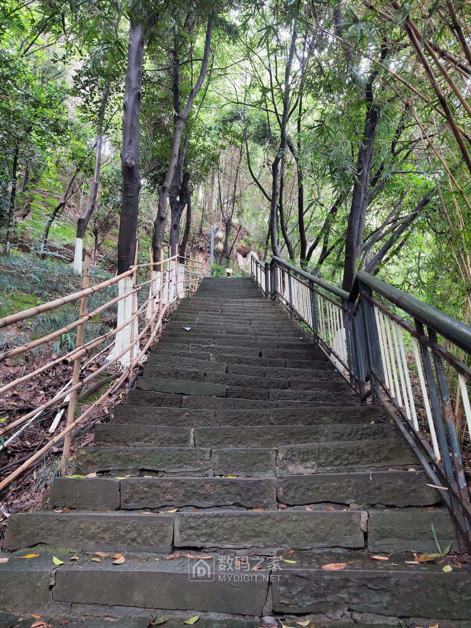 P40421-161618.jpg