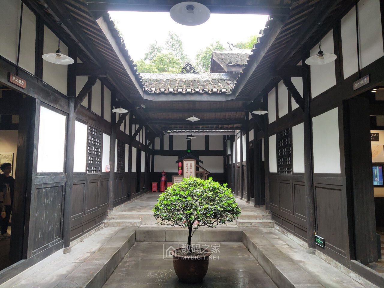 P40421-162521.jpg