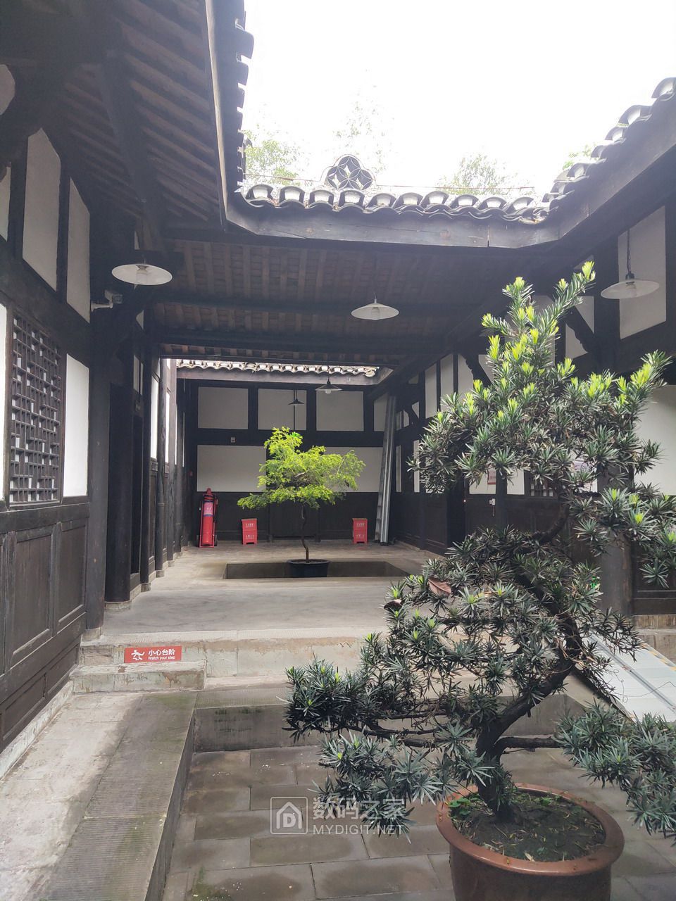 P40421-164853.jpg