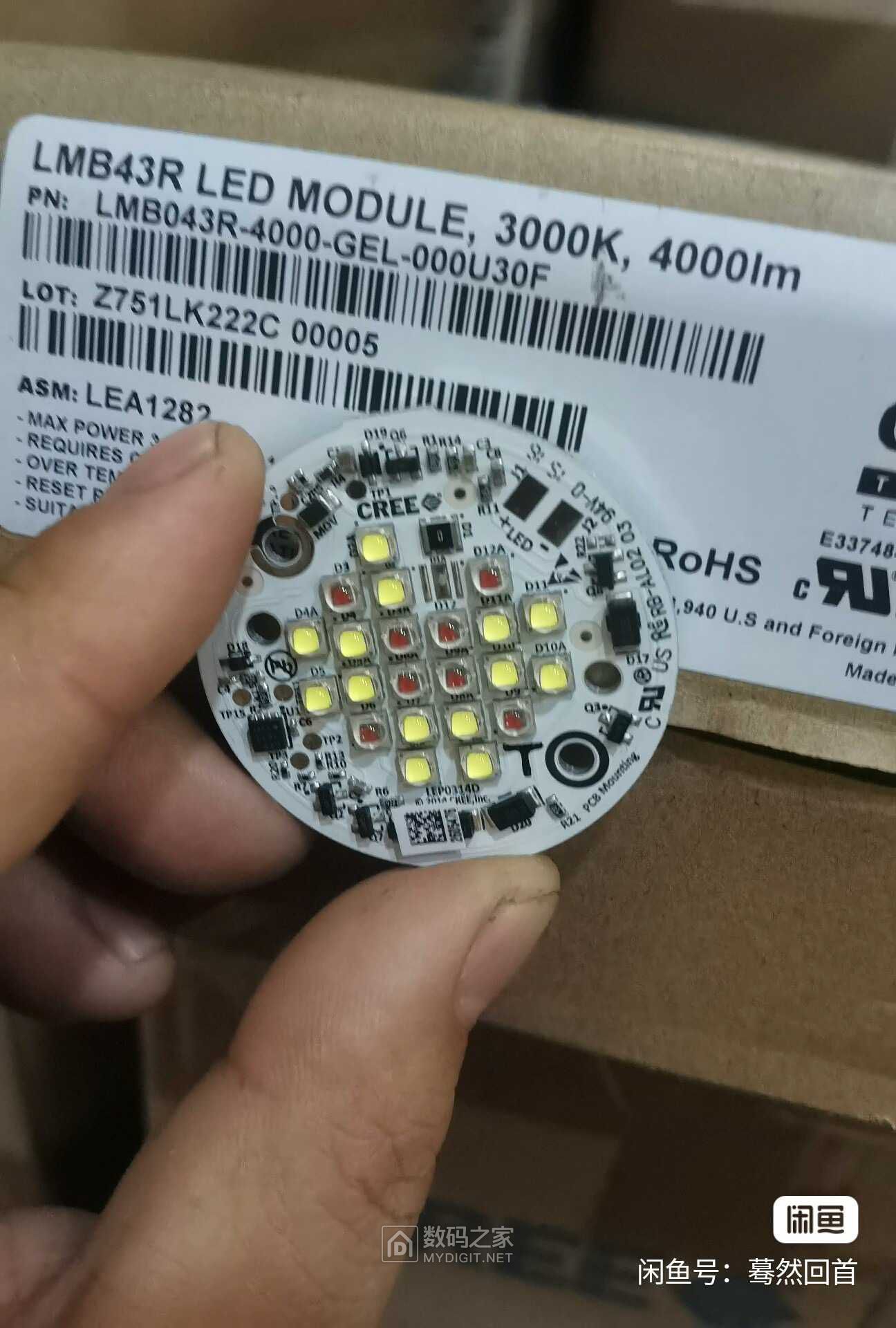 1000071013.jpg