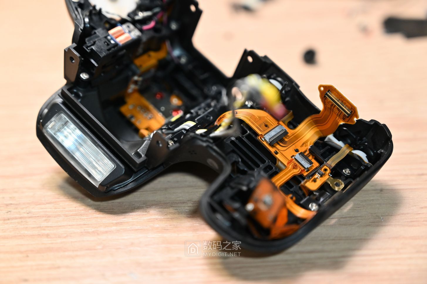 QST_0094.JPG