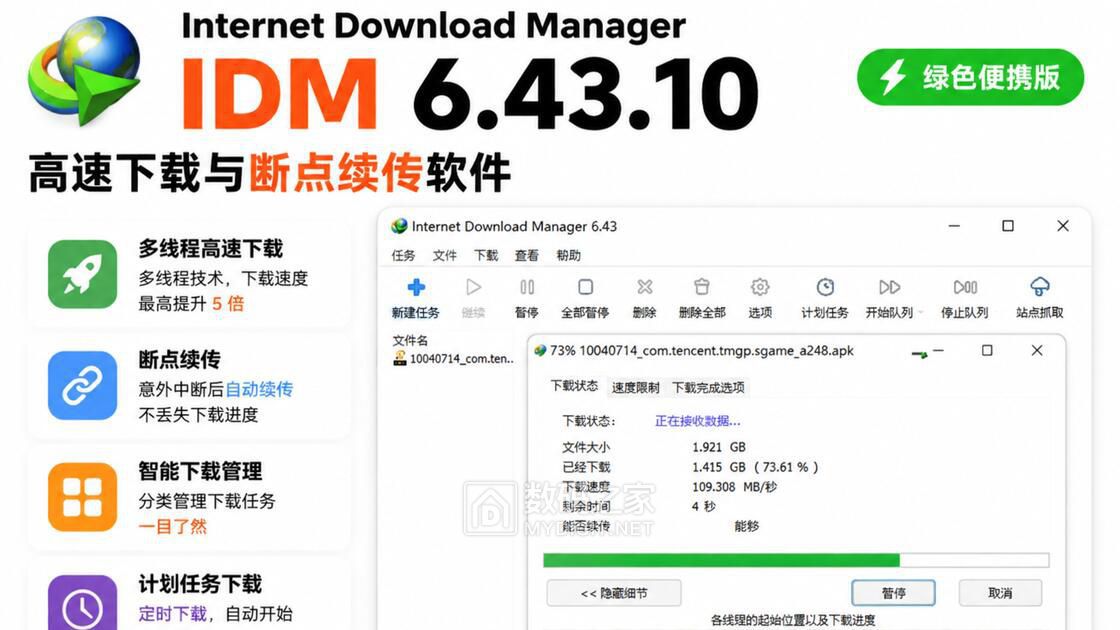 Internet Download Manager.jpg