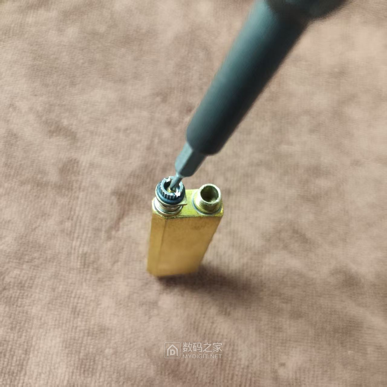 41.jpg