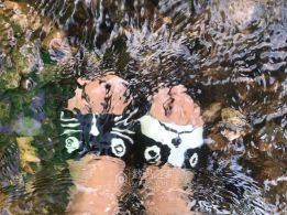 爱就像蓝天白云，晴空万里