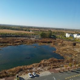 回老家后的窗前风景