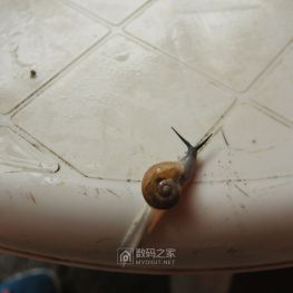 新疆克拉玛依九龙潭