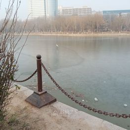 窗含西岭千秋雪，一只白鹭上冰川