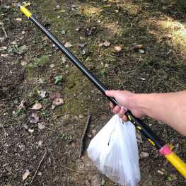 找柳树蘑菇，捡一个王八！