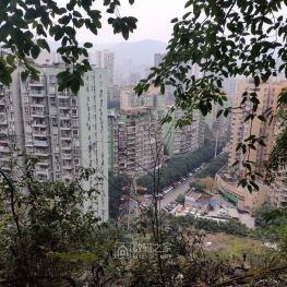 漫步城市菜园之悬崖攻防战，冬天还有绿油油的蔬菜，勤劳的人们功不可没!