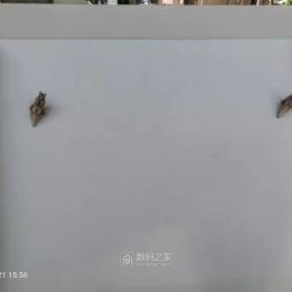 蛹，    猪头需要的。