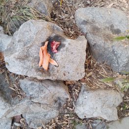 中国最富裕城市——石家庄