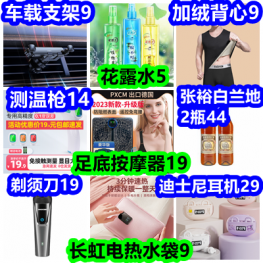 花露水5 足底按摩器19 电热水袋9 加绒背心9 测温枪14 张裕白兰地2瓶44 车支架