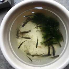 捞啊捞