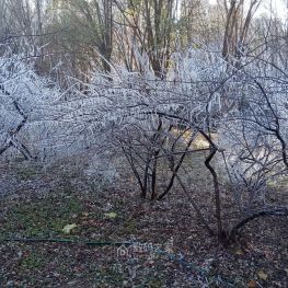 非有意的人造冬季景观