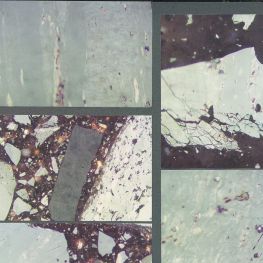 看一些显微镜下的东西