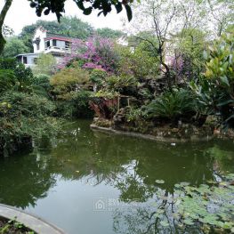 郁郁葱葱的同乐园和高山流水的西园！