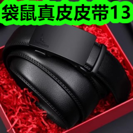 7.4-袋鼠真皮皮带13！精酿啤酒19！隔音减震瑜伽垫22！打气筒10！