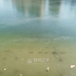 昨天洪波涌起，今天平湖如镜