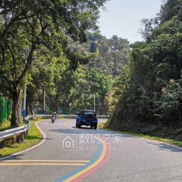肇庆0号公路径