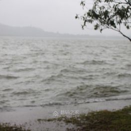 雨中西湖
