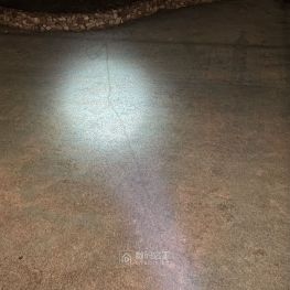 这是什么生物在草坪留下的
