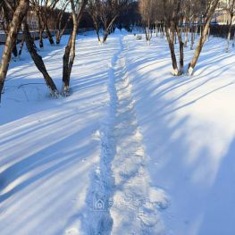 这雪算在2024年还是2025年