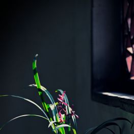 小品二幅 怀旧与窗下