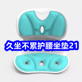 久坐不累护腰坐垫21！无线蓝牙鼠标19！雪中飞秋衣裤39！北极绒电热毯49！