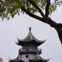 经